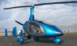 cavalon43 1 203c2989