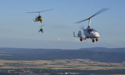 Calidus 11 calidus29 4c394125