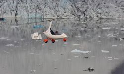 Calidus 24 calidus1 52b81da5